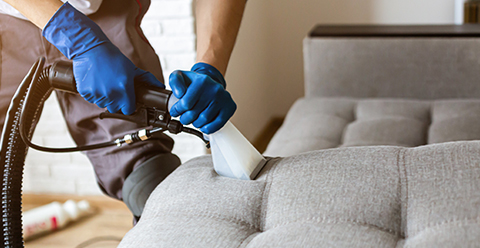 a person wearing blue gloves using a dry cleaning machine to clean the cushions of a sofa