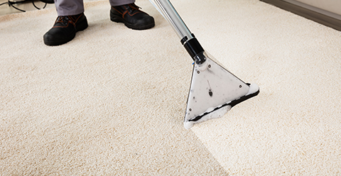 a person using a carpet cleaning machine to clean a rug in a living room