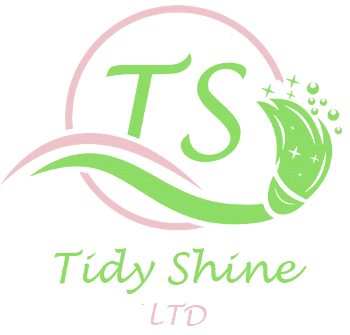 Tidy Shines LTD logo